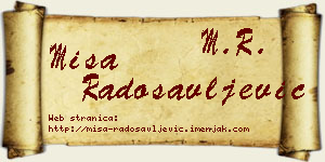 Miša Radosavljević vizit kartica